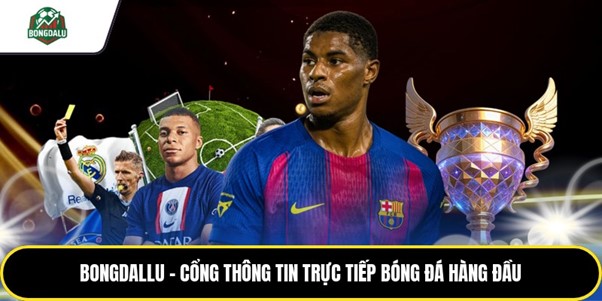 bongdallu cong thong tin
