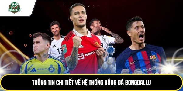 bongdallu cong thong tin2