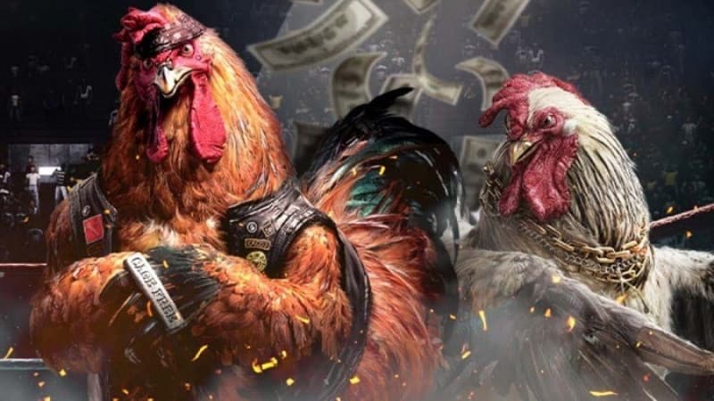 da ga e2bet 1 da ga e2bet 1
