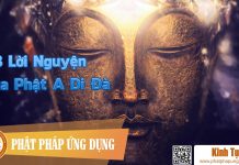 48 Lời Nguyện Của Phật A Di Đà 48 Loi Nguyen Cua Phat A Di Da Kinh Tung Phat Phap Ung Dung
