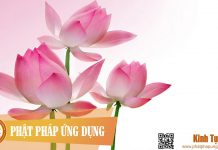 Chú Lăng Nghiêm – Thầy Thích Trí Thoát Tụng Chu Lang Nghiem Kinh Tung Phat Phap Ung Dung