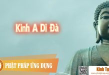 Kinh A Di Đà – Thầy Thích Chiếu Túc Tụng Kinh A Di Da Kinh Tung Phat Phap Ung Dung