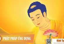 Kinh A Di Đà – Thầy Thích Trí Thoát Tụng Kinh A Di Da Kinh Tung Phat Phap Ung Dung 2