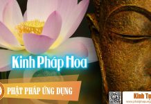 Kinh Pháp Hoa – Thầy Thích Huệ Duyên Tụng Kinh Phap Hoa Kinh Tung Phat Phap Ung Dung