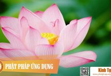 Kinh Pháp Hoa – Thầy Thích Trí Thoát Tụng Kinh Phap Hoa Kinh Tung Phat Phap Ung Dung 2