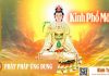 Kinh Phổ Môn – Thầy Thích Trí Thoát Tụng Kinh Pho Mon Kinh Tung Phat Phap Ung Dung