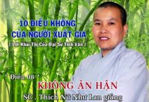 10 Điều Không Của Người Xuất Gia – Không Ân Hận – Thích Nữ Như Lan 10 dieu khong cua nguoi xuat gia 3