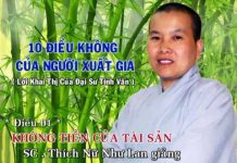 10 Điều Không Của Người Xuất Gia – Không Tiền Của Tài Sản – Thích Nữ Như Lan 10 dieu khong cua nguoi xuat gia 6