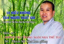 10 Điều Không Của Người Xuất Gia – Không Trụ Trong Ngôi Nhà Thế Tục – Thích Nữ Như Lan 10 dieu khong cua nguoi xuat gia 7