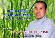 10 Điều Không Của Người Xuất Gia – Không Lòng Từ Hữu Tình – Thích Nữ Như Lan 10 dieu khong cua nguoi xuat gia 8