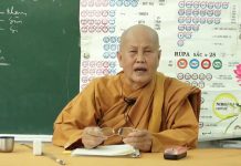 28 Sắc Pháp – Phân Loại Sắc Pháp Theo Đặc Điểm – Thích Nữ Tâm Tâm 28 sac phap phan loai sac phap t