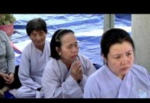 3 Con Rắn Độc – Thích Trí Huệ 3 con ran doc thich tri hue