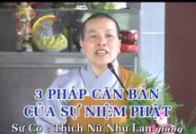 3 Pháp Căn Bản Của Sự Niệm Phật – Thích Nữ Như Lan 3 phap can ban cua su niem phat