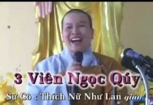 3 Viên Ngọc Quý – Thích Nữ Như Lan 3 vien ngoc quy thich nu nhu lan