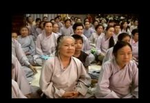 4 Chữ Vãng Sanh – Thích Trí Huệ 4 chu vang sanh thich tri hue