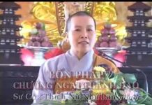 4 Pháp Chướng Ngại Thánh Đạo Giảng 2013 – Thích Nữ Như Lan 4 phap chuong ngai thanh dao gia 1