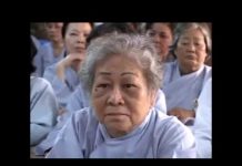 4 Tiến Trình Của Tâm – Thích Trí Huệ 4 tien trinh cua tam thich tri h