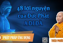 48 Lời Nguyện Của Đức Phật A Di Đà – Thích Phước Tiến 48 loi nguyen cua duc phat a di
