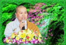 5 Cách Học Ở Đời – Thích Nữ Như Lan 5 cach hoc o doi thich nu nhu la