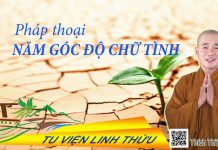 5 Góc Độ Của Chữ Tình – Thích Thiện Xuân 5 goc do cua chu tinh thich thie 1