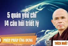 5 Quán Yếu Chỉ – 14 Câu Hỏi Triết Lý – Thích Nhất Hạnh 5 quan yeu chi 14 cau hoi triet