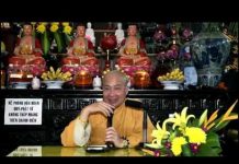 7 Loài Hoa Trong Kinh Phật – Thích Trí Huệ 7 loai hoa trong kinh phat thich