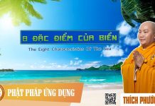 8 Đặc Điểm Của Biển (The Eight Characteristics Of The Sea) – Thích Phước Tiến 8 dac diem cua bien the eight ch