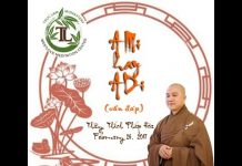 A Mi Đà Phật hay A Di Đà Phật (vấn đáp) – Thích Pháp Hòa a mi da phat hay a di da phat va