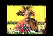 Ai Cũng Có Khả Năng Tu Thành Phật – Thích Trí Huệ ai cung co kha nang tu thanh pha