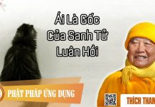 Ái Là Gốc Của Sanh Tử Luân Hồi – Thích Thanh Từ ai la goc cua sanh tu luan hoi t