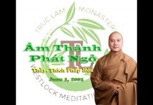 Âm Thanh Phát Ngộ – Thích Pháp Hòa am thanh phat ngo thich phap hoa