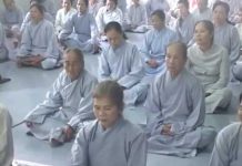 An Lạc Giữa Đời Thường Giảng 2015 – Thích Nữ Như Lan an lac giua doi thuong giang 201 1