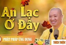 An Lạc Ở Đây (KT48) – Thích Thiện Thuận an lac o day kt48 thich thien th