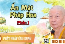 Ẩn Mật Pháp Hoa phần 1 – Thích Trí Quảng an mat phap hoa phan 1 thich tri