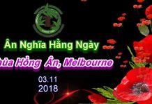 Ân Nghĩa Hằng Ngày – Thích Pháp Hòa an nghia hang ngay thich phap ho