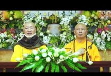 Ân Tình – Thích Thiện Thuận an tinh thich thien thuan