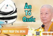 Ân Tổ Quốc – Thích Trí Quảng an to quoc thich tri quang