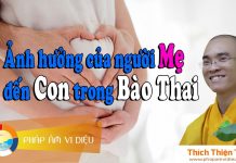 Ảnh Hưởng Của Người Mẹ Đến Con Trong Bào Thai – Thích Thiện Tuệ anh huong cua nguoi me den con t