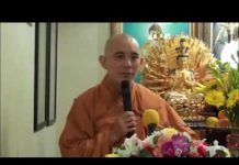 Ánh Sáng Phật A Di Đà – Thích Đồng Thành anh sang phat a di da thich dong