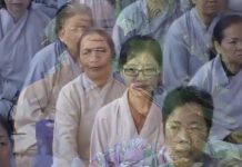 Ánh Sáng Phật Pháp Kỳ 15 – Thích Trí Chơn anh sang phat phap ky 15 thich t