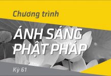Ánh Sáng Phật Pháp Kỳ 61 – Thích Pháp Đăng anh sang phat phap ky 61 thich p