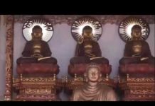 Ánh Trăng Đẹp – Thích Tâm Đức anh trang dep thich tam duc