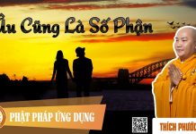 Âu Cũng Là Số Phận – Thích Phước Tiến au cung la so phan thich phuoc t