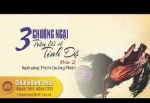 Ba Chướng Ngại Trên Lối Về Tịnh Độ phần 2 – Thích Quảng Thiện ba chuong ngai tren loi ve tinh 1