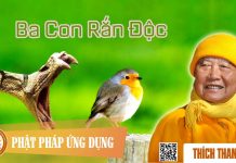 Ba Con Rắn Độc – Thích Thanh Từ ba con ran doc thich thanh tu