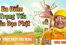 Ba Điểm Trọng Yếu Của Đạo Phật – Thích Thanh Từ ba diem trong yeu cua dao phat t