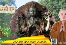 Ba Pháp Kết Hợp – Thích Thiện Xuân ba phap ket hop thich thien xuan