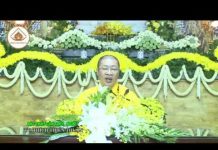Bậc thầy của trời, người phần 1 – Thích Thiện Thuận bac thay cua troi nguoi phan 1 t