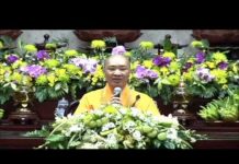 Bậc Thầy Vĩ Đại – Thích Thiện Thuận bac thay vi dai thich thien thua