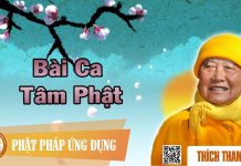 Bài Ca Tâm Phật – Thích Thanh Từ bai ca tam phat thich thanh tu